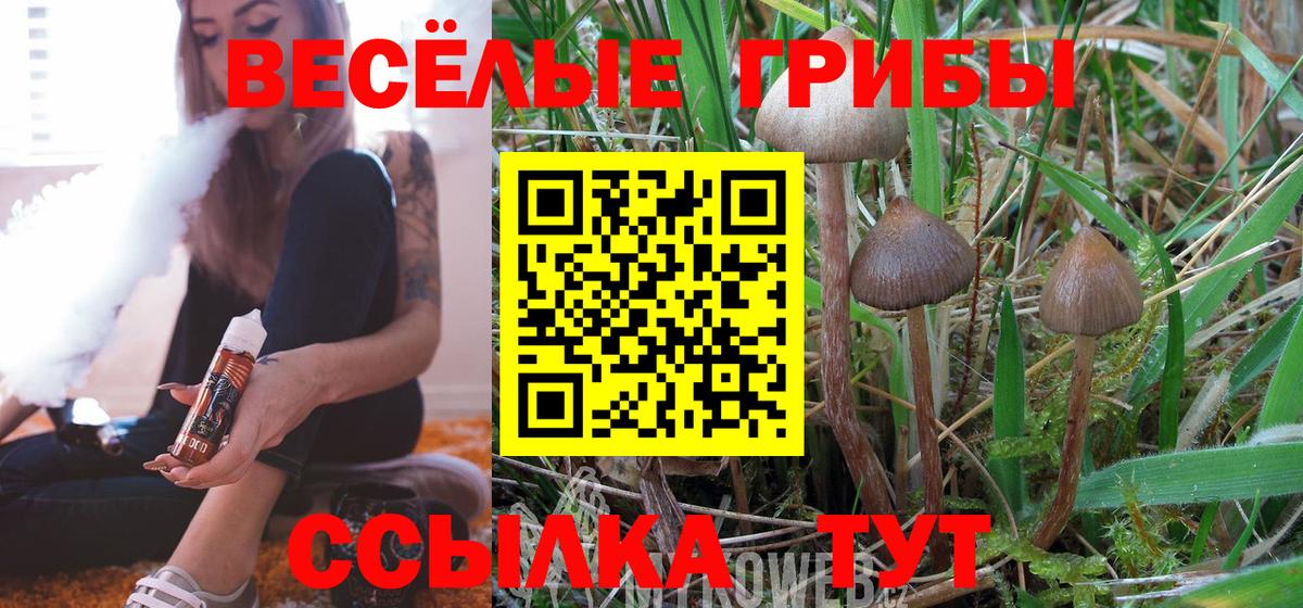 Галлюциногенные грибы Magic Shrooms Киржач